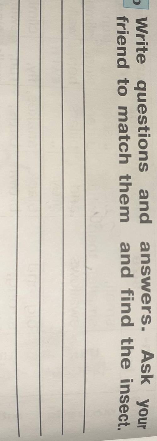 1b Write questions and answers. Ask your friend to match them and find the insect.