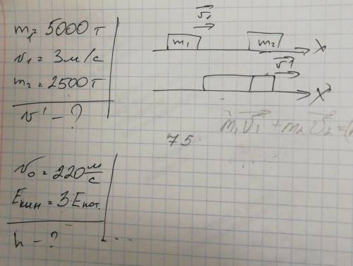 1. При столкновении m1= 5000т m2=2500т v1(до столкновения=3м/с найти:v2 после столкновения 2. N0=220