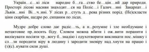 вставити пропущені литери і розставити розділові знакиДАМ 30 Б​