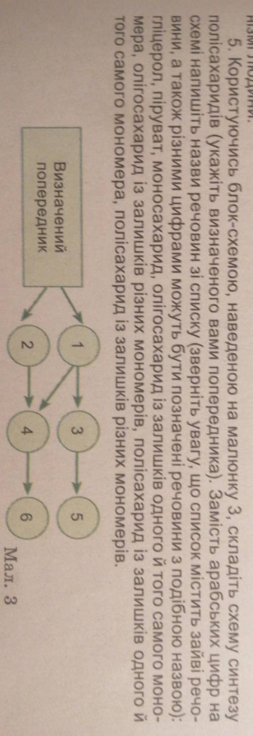 5. Користуючись блок-схемою, наведеною на малюнку 3, складіть схему синтезу полісахаридів (укажіть в