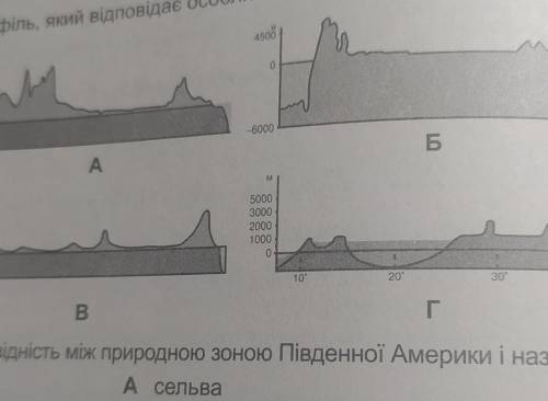 2. Оберіть профіль, який відповідає особливостям рельєфу південної Америки. А, Б, В или Г?​