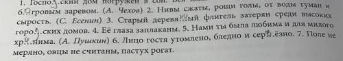 Цифра 5. Надо найти грамматическую основу предложения и указать, чем она выражена.