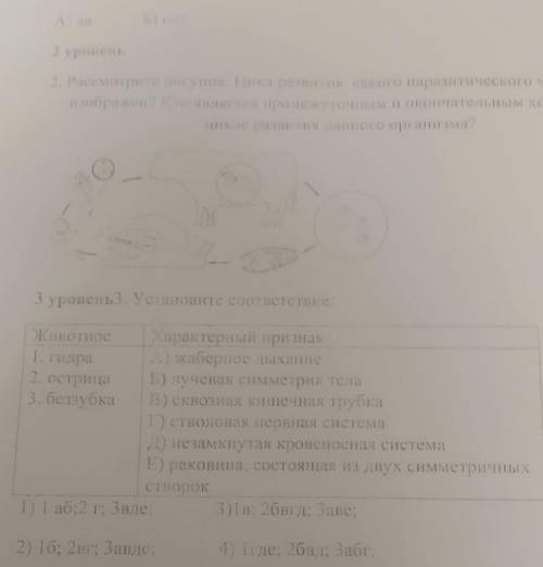 3 уровень3. Установите соответствие Животное Характерный признак1. ГидраА) каберное дыхание2. остриц