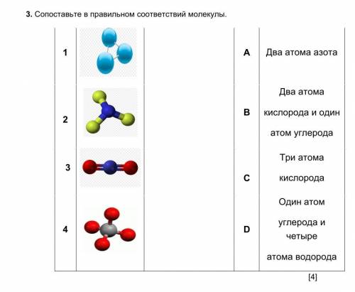 3. Сопоставьте в правильном соответствий молекулы