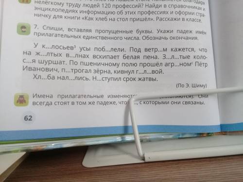 Спиши, вставляя пропушенные буквы. Укажи падеж имён прилагательных ед.ч. Обозначь окончания.