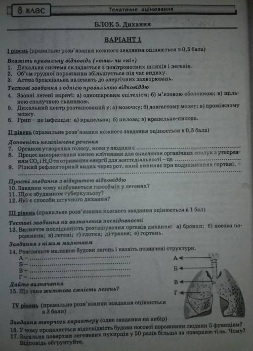 До ть будь ласка. Семестрова к/р. Біологія. ів, тільки дуже виконайте все. буду дуже вдячна​