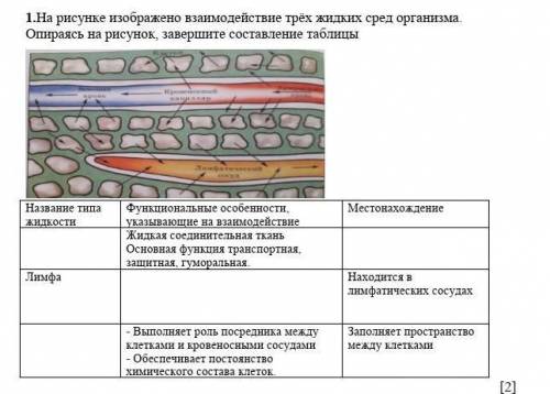 1. На рисунке изображено взаимодействие трёх жидких сред организма. Опираясь на рисунок, завершите с