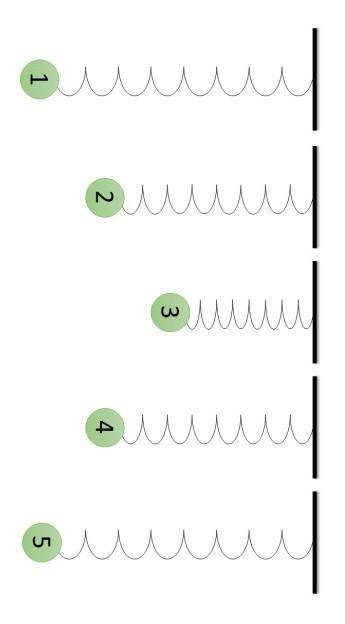 Шарик, совершая колебания на пружине, последовательно проходит положения «1», «2», «3», «4», «5» и т