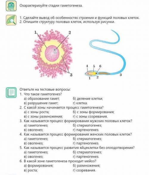 Выполните все 3 задания надо это биология ​