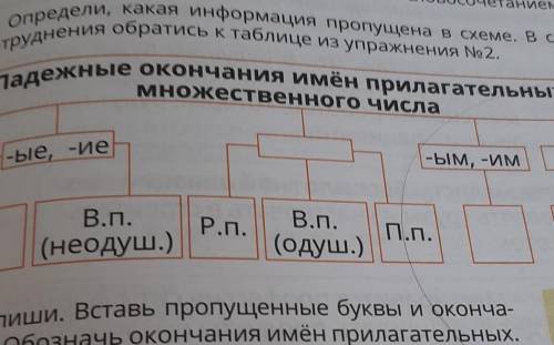 Затруднения обратись к таблице из упражнения No2. 5. Определи, какая информация пропущена в схеме. В