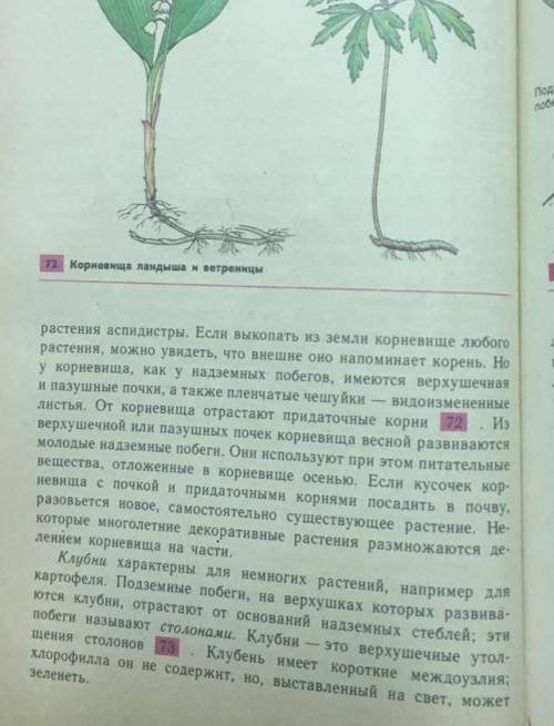 Докажите, что корневище - видоизменённый побег ответ только из учебника ​