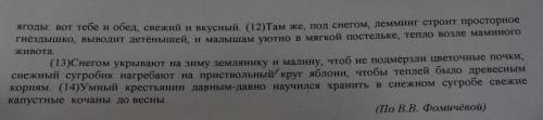 В 7-м предложении найди слово, состав которого соответствует схеме