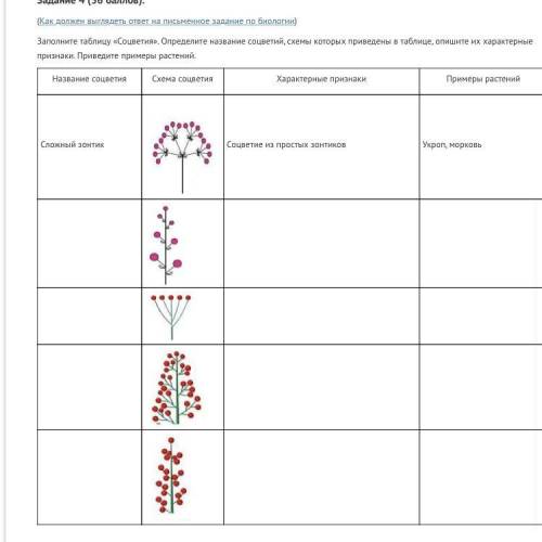 Заполните таблицу «Соцветия». Определите название соцветий, схемы которых приведены в таблице, опиши