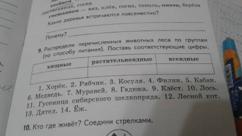 Распредели перечисленых животнвх леса по группам (по питания).Поставь соответствующие цифры.