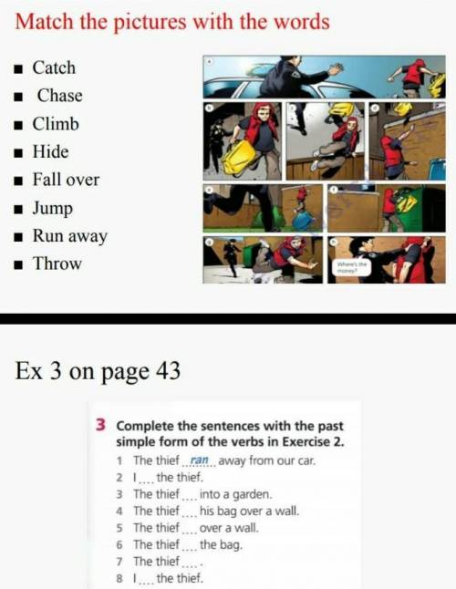 Complete the sentences with the past simple form of the verbs in Exercise:3 page: 43​