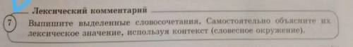 Поэт и гражданин лексический комментарии выпишите выделенные словосочетания самостоятельно объясните