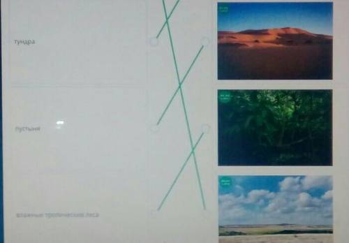 Соотннсите название природных зон с их изображенниями​