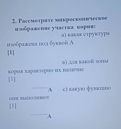 2. Рассмотрите микроскопическое изображение участка корня:а) какая структураизображена под буквой А[