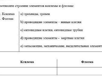 Соотнесите строение элементов ксилемы и флоэмы : 1. Ксилема2. Флоэма a) трахеиды, трахен b) проводящ