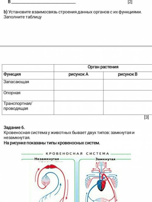 установите взаимосвязь строения данных органов с их функциями. Заполните таблицу В у меня соч ​