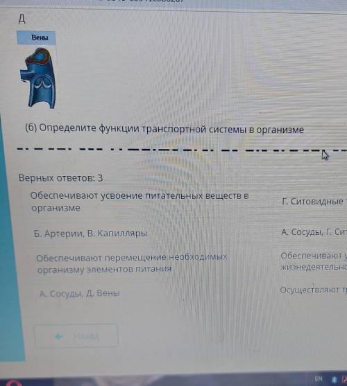 ТЕКСТ ЗАДАНИЯ У многоклеточных организмов клетки разных тканей удалены друг от друга. Поэтому у нихс