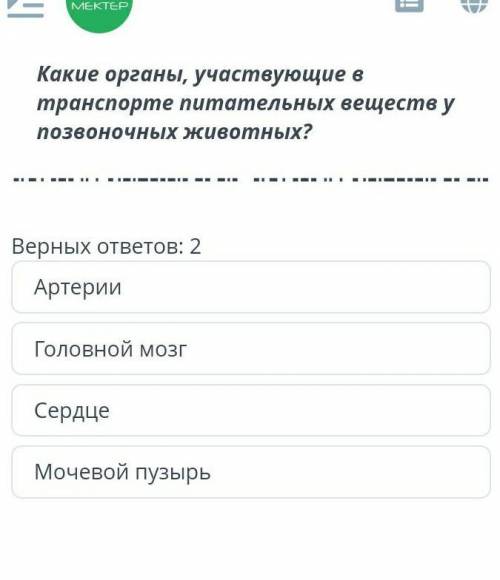 Какие органы участвующие в транспорте питательных веществ в позвоночных животных​