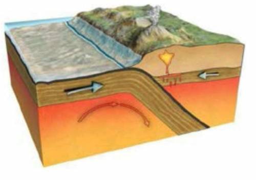 А) Определите вид тектонического движения по рисунку (1б) b) объясните данный процесс___(1б)  ответ: