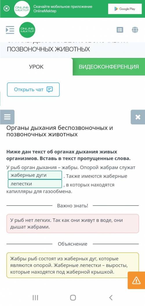 Рпоковреокшалп на только ответит екатерина