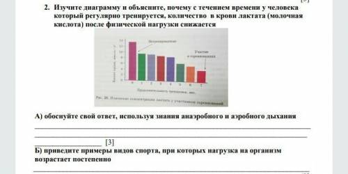 изучите диаграмму и объясните почему с течением времени у человека который регулярно тренеруется кол