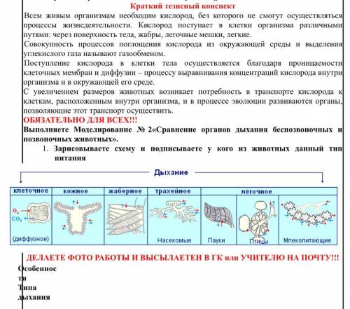 Заполнить таблицу, у кого из животных данный тип дыхания НУЖНО, В ТЕЧЕНИИ 2 ЧАСОВ НАПИШИТЕ ВСЕ ТОЧНО