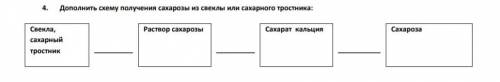 Дополнить схему получения сахарозы из свеклы или сахарного тростника: