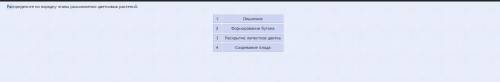 Распределите по порядку этапы размножения цветковых растений