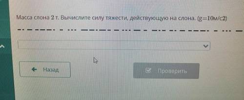 Масса слона 2 т. Вычислите силу тяжести,действующую на слона. (g=10м/с2)​