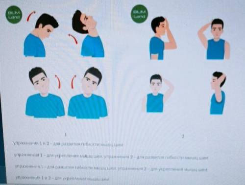 Упражнения для шеи, плеч и грудного отдела Как можно классифицировать упражнения 1 и 2?BUMLandBIUMLa