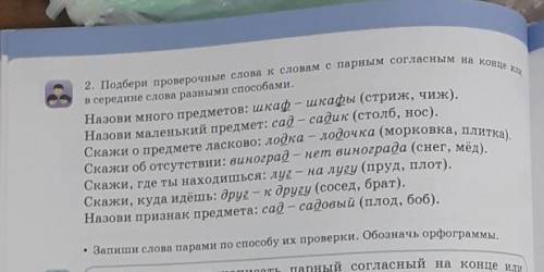 подбери проверочные слова к словам парными согласными на конце или в середине слова разными Запиши с