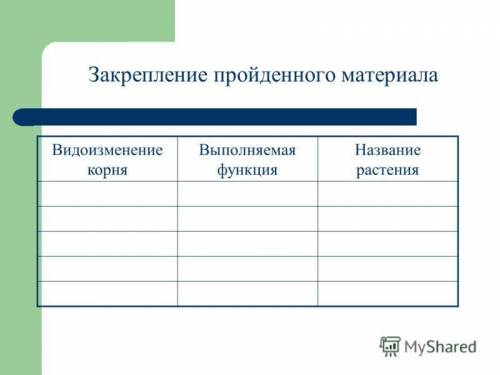 Заполнить таблицу Видоизменения корней . Добавить информацию о корнях-присосках, корнях-подпорках