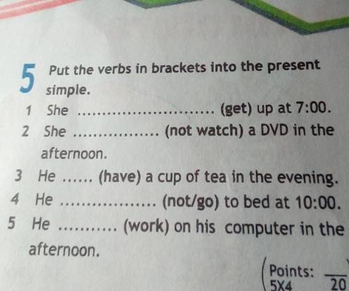 Put the verbs in brackets into the present simple.​