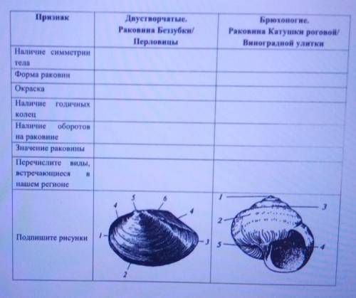 НО все в фотке ЭТО БИАЛОГИЯ