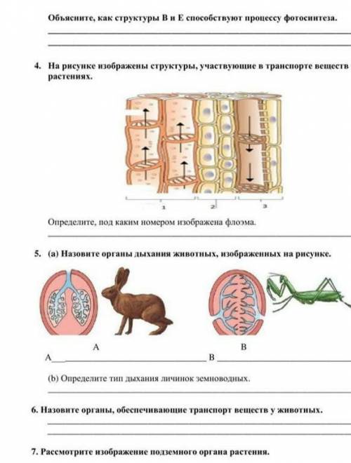 Это 2 часть Соча что попало будет БАН​