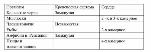 Вставьте нужное слово в таблицу: «Тип кровеносной системы организмов​