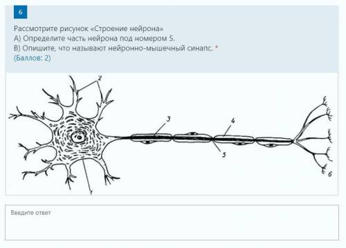 1. Выделяют два типа дыхания: аэробное и анаэробное. Рассмотрите химические формулы, представленные