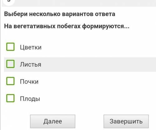 На вегетативных побегах формируются 1) Цветки 2)листья 3) почки 4) плоды Заранее