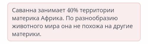 Определи природную зону, представленную на картинке Саванна Южной Америки Африканская саванна Саванн