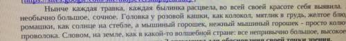 3. Определите стиль текста, приведите 2 аргумента для обоснования своей точки зрения.