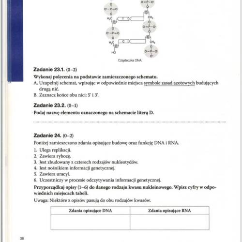 Uzupełnij schemat,wpisując w odpowiednie miejsca symbole zasady azotowych budujących drugą nić