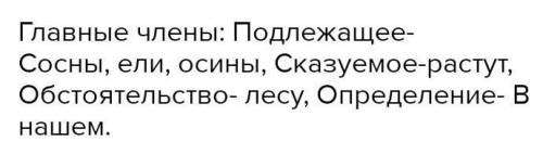 Какой это член предложения второстепенный или главный в словах леса, шествие, берез