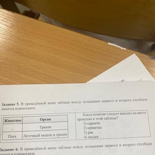 Задание 5. В приведённой ниже таблице между позициями первого и второго столбцов имеется взаимосвязь