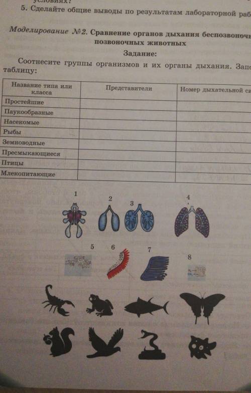 ДАЮ Моделирование 2. Сравнение органов дыхания беспозвоночных и позвоночных животныхЗадание:Соотнеси