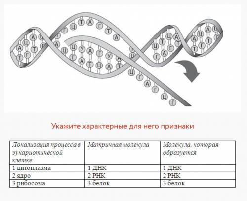 Задание содержит три колонки информации, в каждой из которых она обозначена цифрами. Выберите из каж