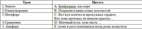 Соотнесите строки из стихотворения А. Фета «Степь вечером» и изобразительные средства. (5 б)